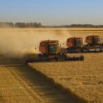 Grain Marketing Can Be Improved By Tracking Daily Grain Prices